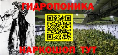 ГАЛЛЮЦИНОГЕННЫЕ ГРИБЫ Когалым