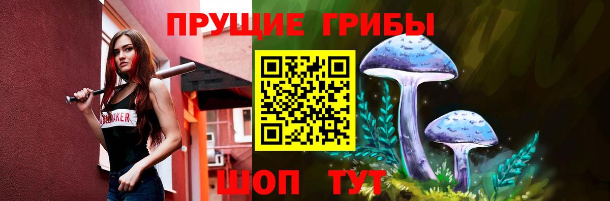 Псилоцибиновые грибы GOLDEN TEACHER  Галлюциногенные грибы GOLDEN TEACHER  Вход с VPN  Губкин 